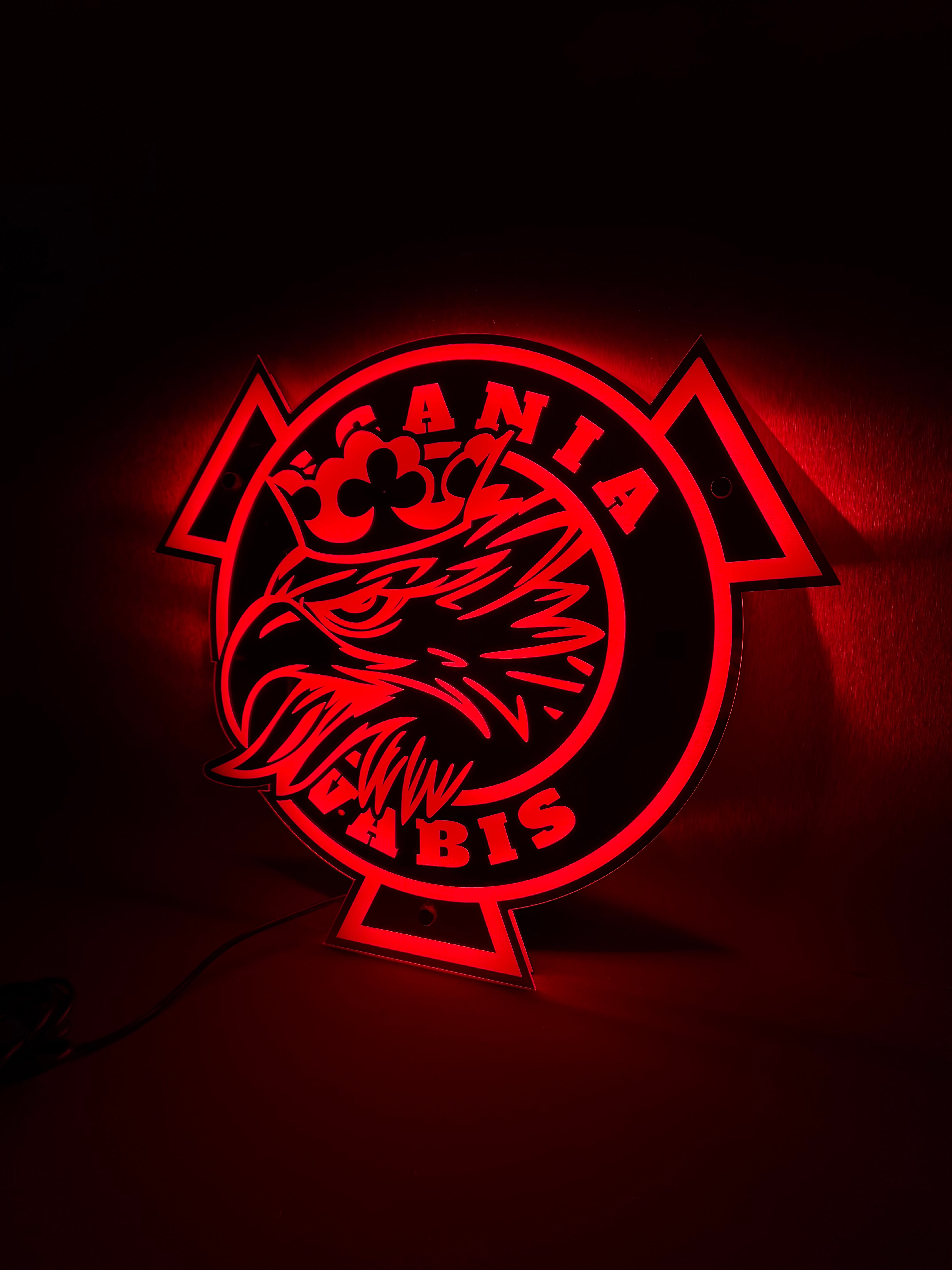 Scania Vabis Rond LED Spiegel Achterwand V2